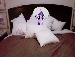 Size: 1280x960 | Tagged: safe, artist:bryal, twilight sparkle, pony, g4, bed, irl, photo, pillow, pillow hat, ponies in real life, solo, vector