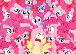 Size: 385x277 | Tagged: safe, fluttershy, pinkie pie, g4, my little pony: friendship is magic, season 3, too many pinkie pies, clone, fun fun fun, multeity, one of these things is not like the others, pinkie clone, scared, so much pony, too much pink energy is dangerous