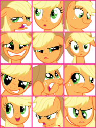 Size: 600x800 | Tagged: safe, artist:shelltoon, applejack, g4, .zip file at source, collage, face