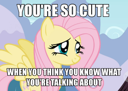 Size: 500x357 | Tagged: safe, fluttershy, g4, image macro, reaction image