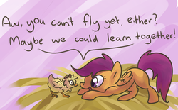 Size: 996x619 | Tagged: safe, artist:ponygoggles, scootaloo, chicken, g4, cute, cutealoo, daaaaaaaaaaaw, duo, meme, pet, scootachicken, scootaloo can't fly