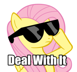 Size: 800x744 | Tagged: safe, artist:j-brony, fluttershy, g4, deal with it, image macro, sunglasses