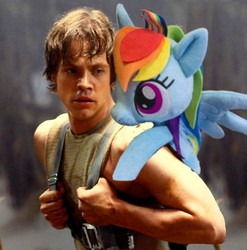 Size: 760x768 | Tagged: safe, edit, rainbow dash, g4, luke skywalker, photo, rainbow backpack, star wars