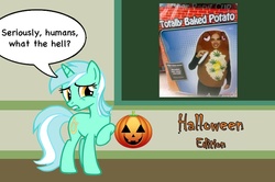 Size: 889x590 | Tagged: safe, lyra heartstrings, g4, bloodshot eyes, chalkboard, costume, halloween, human studies101 with lyra, marijuana, meme