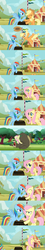 Size: 496x2762 | Tagged: safe, edit, edited screencap, screencap, applejack, fluttershy, harry, rainbow dash, bear, earth pony, pegasus, pony, fall weather friends, g4, lesson zero, comic, female, hoofwrestle, screencap comic