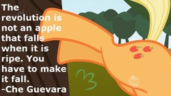 Size: 800x450 | Tagged: dead source, safe, artist:wisdomhoof, edit, edited screencap, screencap, applejack, earth pony, pony, applebuck season, g4, che guevara, communism, debate in the comments, ei, female, hub logo, quote, solo, text