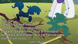 Size: 800x450 | Tagged: safe, artist:wisdomhoof, edit, edited screencap, screencap, rarity, pony, g4, look before you sleep, john muir, quote, solo, text, topiary, tree