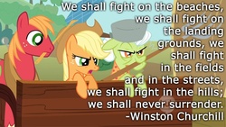 Size: 800x450 | Tagged: safe, artist:wisdomhoof, edit, edited screencap, screencap, applejack, big macintosh, granny smith, earth pony, pony, g4, swarm of the century, fan, flyswatter, hub logo, mouth hold, pitchfork, quote, table, text