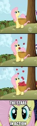 Size: 500x1678 | Tagged: safe, fluttershy, g4, 4koma, comic, the stare