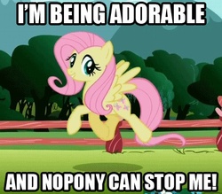 Size: 420x368 | Tagged: safe, artist:mezkalito4p, edit, edited screencap, screencap, fluttershy, pony, g4, may the best pet win, and nopony can stop me, cute, female, grin, i'm being adorable and no one can stop me!, image macro, looking at you, prancing, skipping, smiling, solo, spread wings, trotting