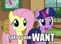 Size: 725x524 | Tagged: safe, edit, edited screencap, screencap, fluttershy, twilight sparkle, a bird in the hoof, g4, cropped, duo, hub logo, mirrored, reaction image, tongue out, varying degrees of want, want