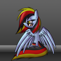 Size: 1500x1500 | Tagged: safe, artist:n1de, rainbow dash, g4, german, german dash, rainbow deutsch, sunglasses