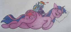 Size: 1400x640 | Tagged: safe, artist:spectrum-sparkle, rainbow dash, twilight sparkle, pony, unicorn, g4, fat, female, lesbian, ship:twidash, shipping, sleeping, twilard sparkle, unicorn twilight, wingboner