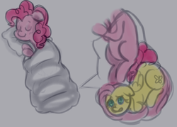 Size: 669x478 | Tagged: safe, fluttershy, pinkie pie, pegasus, pony, g4, sleeping, sleeping bag, stuck