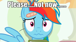 Size: 1280x718 | Tagged: safe, rainbow dash, g4, bed, book, caption, image macro, meme