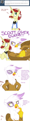 Size: 1000x4000 | Tagged: safe, flam, gilda, griffon, ask flam, g4, ask