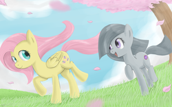 Size: 2400x1500 | Tagged: dead source, safe, artist:speccysy, fluttershy, marble pie, earth pony, pegasus, pony, g4, alternate cutie mark, falling leaves, female, folded wings, grass, happy, leaves, lesbian, looking at each other, looking at someone, mare, open mouth, open smile, running, ship:marbleshy, shipping, smiling, tree, wings