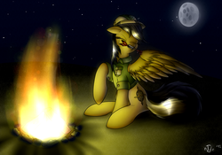 Size: 2515x1759 | Tagged: safe, artist:n1de, daring do, pegasus, pony, g4, arrow, blood, campfire, female, mare, pain, solo