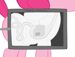 Size: 1024x768 | Tagged: safe, pinkie pie, g4, cake, oven, stomach, x-ray, x-ray picture