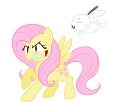 Size: 979x816 | Tagged: safe, artist:xnigmatic-fool, angel bunny, fluttershy, g4, female, naruto, solo