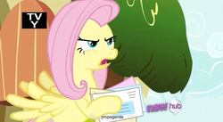 Size: 851x465 | Tagged: safe, screencap, fluttershy, pegasus, g4, my little pony: friendship is magic, putting your hoof down, fluttershy's cottage, mail, propaganda, youtube caption