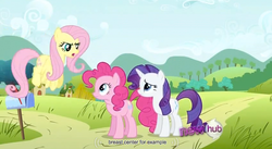 Size: 848x466 | Tagged: safe, screencap, fluttershy, pinkie pie, rarity, g4, putting your hoof down, hub logo, youtube caption