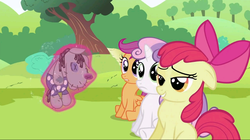 Size: 1023x574 | Tagged: safe, screencap, apple bloom, scootaloo, smarty pants, sweetie belle, pony, g4, lesson zero, cutie mark crusaders, lidded eyes, out of context, varying degrees of want