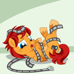 Size: 1500x1500 | Tagged: dead source, safe, artist:madmax, oc, oc only, pegasus, pony, film, freckles, solo