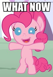 Size: 666x960 | Tagged: safe, pinkie pie, g4, filly, image macro, roflbot, text