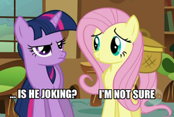 Size: 650x440 | Tagged: safe, fluttershy, twilight sparkle, g4, image macro, reaction image