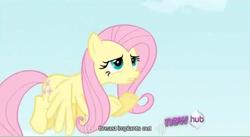 Size: 634x347 | Tagged: safe, screencap, fluttershy, g4, youtube caption