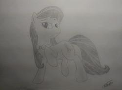 Size: 717x528 | Tagged: safe, artist:argeon, octavia melody, earth pony, pony, g4, female, photo, solo, traditional art