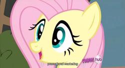 Size: 637x348 | Tagged: safe, screencap, fluttershy, g4, hub logo, youtube caption