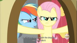 Size: 856x478 | Tagged: safe, screencap, fluttershy, rainbow dash, dragon quest, g4, my little pony: friendship is magic, hub logo, youtube caption