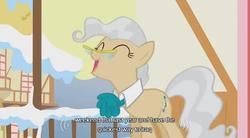 Size: 636x352 | Tagged: safe, screencap, mayor mare, earth pony, pony, g4, winter wrap up, female, iraq, mare, solo, youtube caption