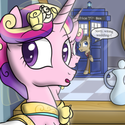 Size: 4000x4000 | Tagged: safe, artist:pustulioooooo, doctor whooves, princess cadance, time turner, alicorn, earth pony, pony, g4, clothes, crossover, doctor who, dress, female, male, mare, mirror, stallion, tardis, the doctor, time travel, wedding dress
