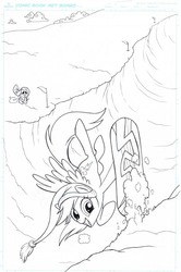 Size: 532x800 | Tagged: safe, artist:amy mebberson, idw, official comic, fluttershy, rainbow dash, pony, g4, official, comic, cover, idw advertisement, lineart, monochrome, no logo, original artwork, textless