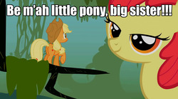 Size: 1280x714 | Tagged: safe, apple bloom, applejack, g4, appletini, bedroom eyes, caption, image macro, meme