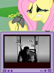 Size: 563x752 | Tagged: safe, fluttershy, pegasus, pony, g4, exploitable meme, female, fluttercry, gamershy, killer7, mare, meme, tv meme