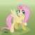 Size: 2000x2000 | Tagged: safe, artist:apollobroda, fluttershy, pegasus, pony, g4, blushing, female, mare, signature, solo