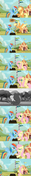 Size: 496x2763 | Tagged: safe, edit, edited screencap, screencap, applejack, fluttershy, harry, rainbow dash, fall weather friends, g4, lesson zero, my little pony: friendship is magic, comic, hoofwrestle, screencap comic