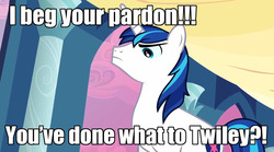 Size: 1280x713 | Tagged: safe, edit, edited screencap, screencap, shining armor, twilight sparkle, pony, unicorn, g4, bronybait, caption, image macro, male, meme, overprotective, overprotective armor, solo, stallion