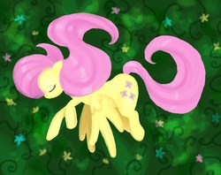 Size: 648x512 | Tagged: safe, artist:retaya, fluttershy, pony, g4, female, solo