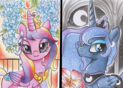 Size: 800x575 | Tagged: safe, artist:schnuffitrunks, princess cadance, princess luna, alicorn, pony, g4, female, mare, traditional art