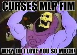 Size: 400x289 | Tagged: safe, g4, he-man, image macro, love hate, skeletor