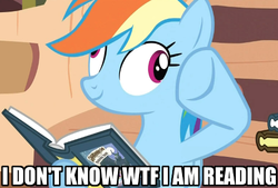 Size: 500x337 | Tagged: safe, edit, edited screencap, screencap, daring do, rainbow dash, pony, a friend in deed, g4, my little pony: friendship is magic, book, derp, female, golden oaks library, image macro, reaction image, solo, text, what the fuck am i reading