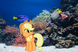 Size: 1200x801 | Tagged: safe, applejack, fish, pony, g4, irl, photo, ponies in real life, underwater, vector