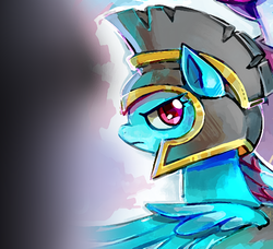 Size: 988x900 | Tagged: safe, artist:erinliona, commander hurricane, rainbow dash, g4, cropped