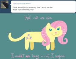 Size: 500x385 | Tagged: safe, artist:ponett, fluttershy, cat, g4, ask, catified, female, smiling, solo, species swap, text, whiskers