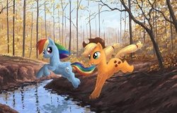 Size: 1250x800 | Tagged: safe, artist:choedan-kal, applejack, rainbow dash, g4, autumn